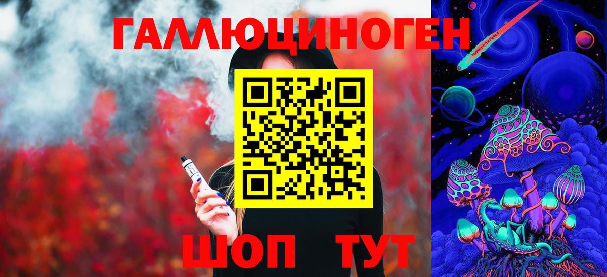 Псилоцибиновые грибы Psilocybe Орск